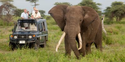 Africa-Elephant-David-Luck-1280x640